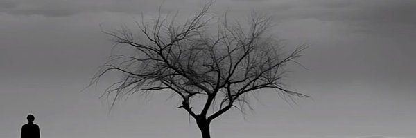 Npik8677886V Profile Banner