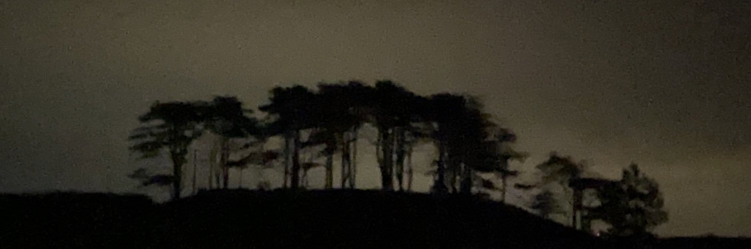 lurkingpretty's profile banner image