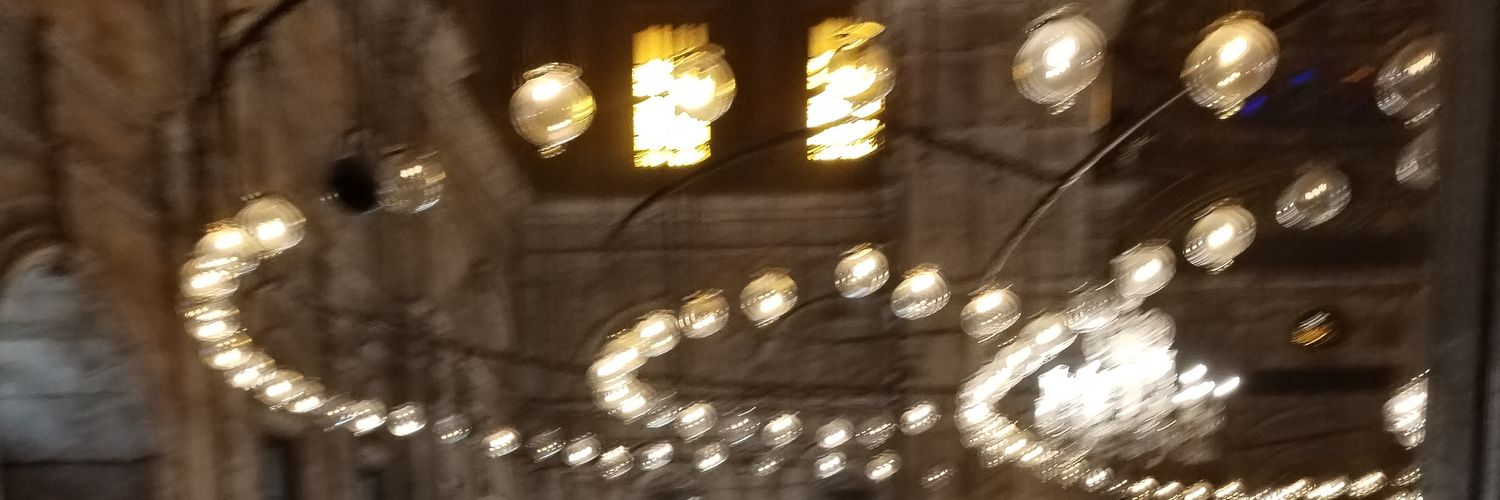 Sandy Sanchez banner