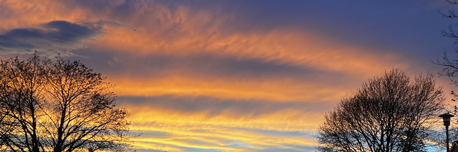 blsmi's profile banner image