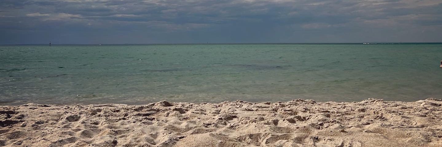 Professional Audie banner