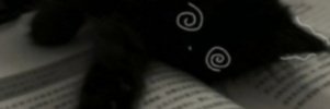 SillyAero banner