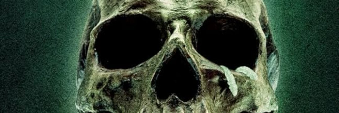 Mindworms_'s profile banner image