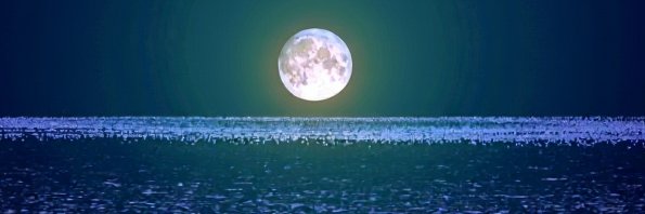 月海まりも🌙占い師 banner