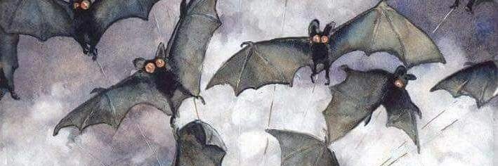 Rowan | A.C.A.B//BLACK LIVES MATTER| banner