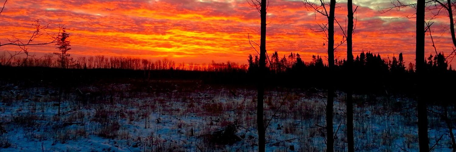 NoahArd12's profile banner image