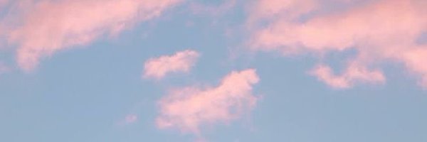 monrott28 Profile Banner