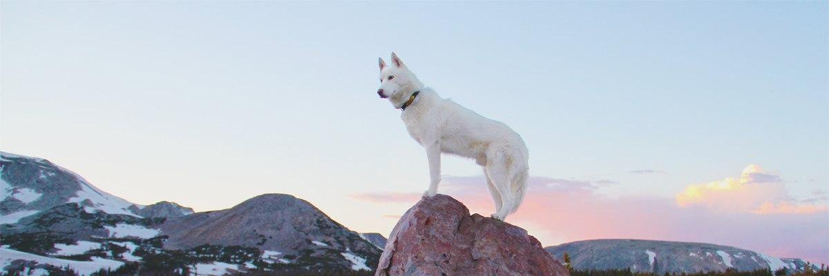 danithecake's profile banner image