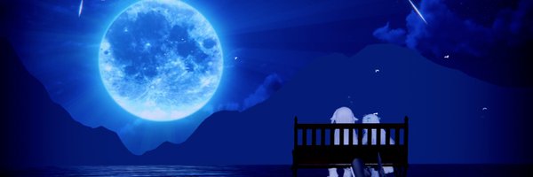 Roa3_vrc Profile Banner