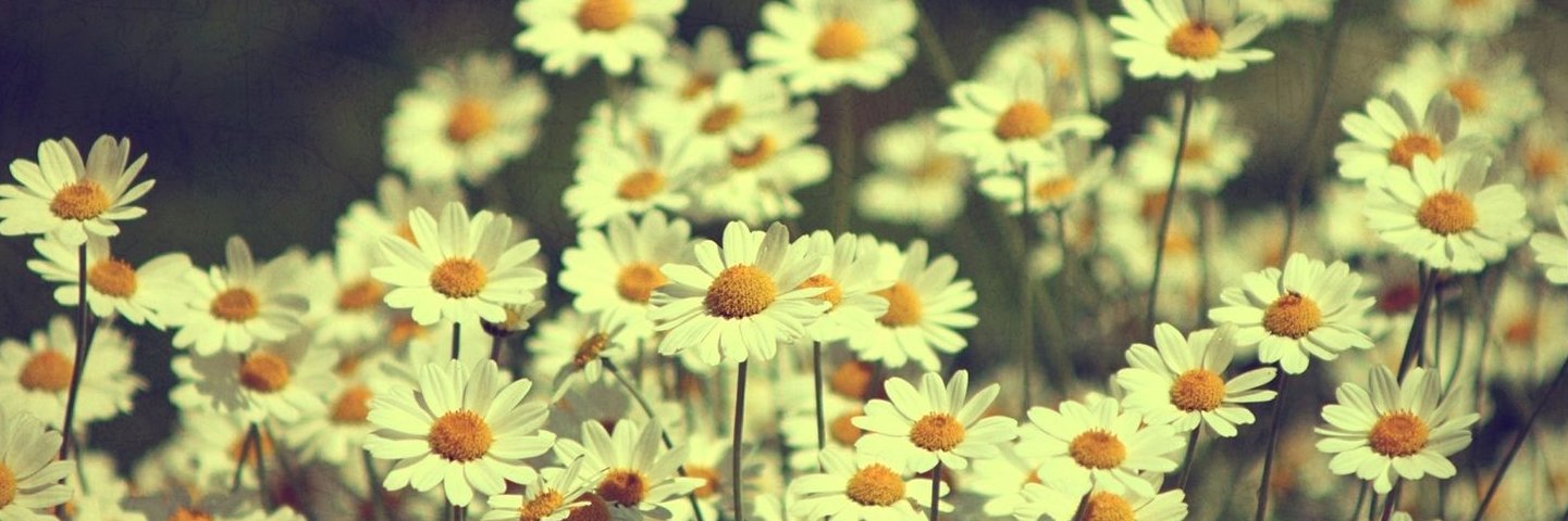 MrsNicD's profile banner image