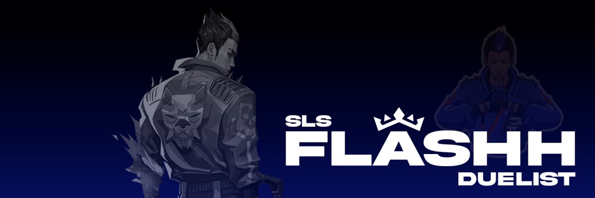 flashhVLR banner