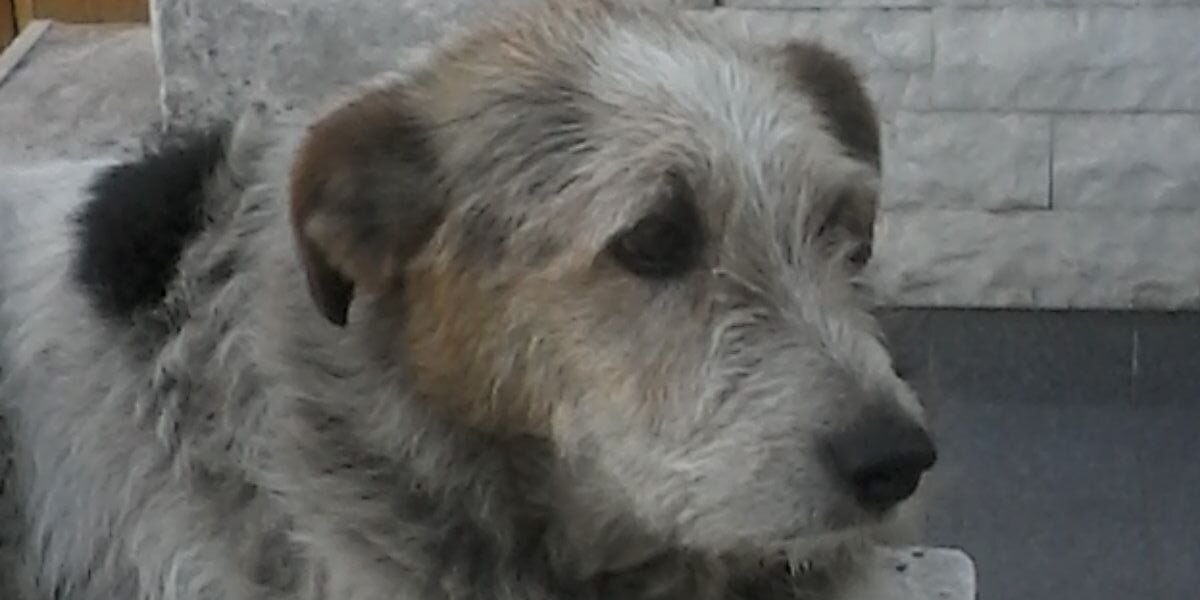 JoaChochi's profile banner image