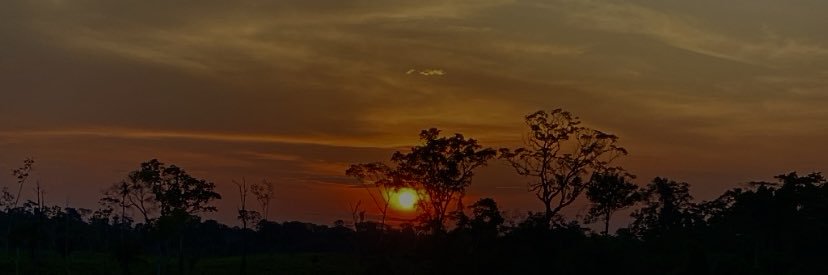Maiara Vasconcelos banner
