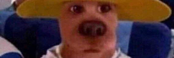 𝙹𝚘𝚛𝚍𝚜🧟‍♂️🧟‍♂️ banner