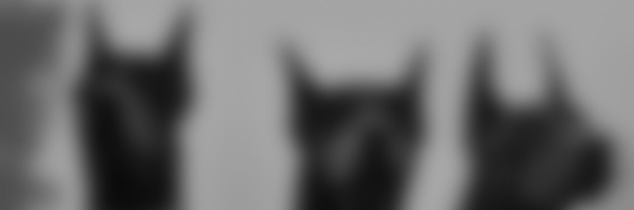 mudde7's profile banner image