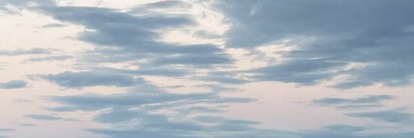 pausauriorex Profile Banner