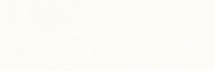 🪩 banner
