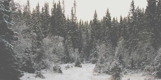 weirdthough's profile banner image