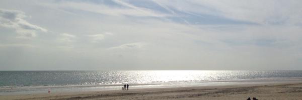 MaschaArts Profile Banner