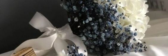 Tunicha_C's profile banner image