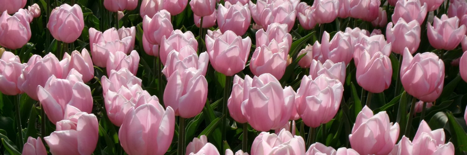 nuria_mlsb_'s profile banner image