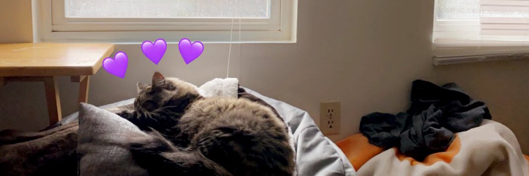 jaydendiane03's profile banner image