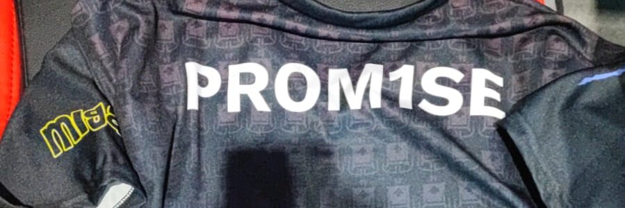 prom1se banner