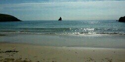 seag1rl's profile banner image