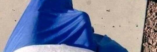 PAL PELO banner