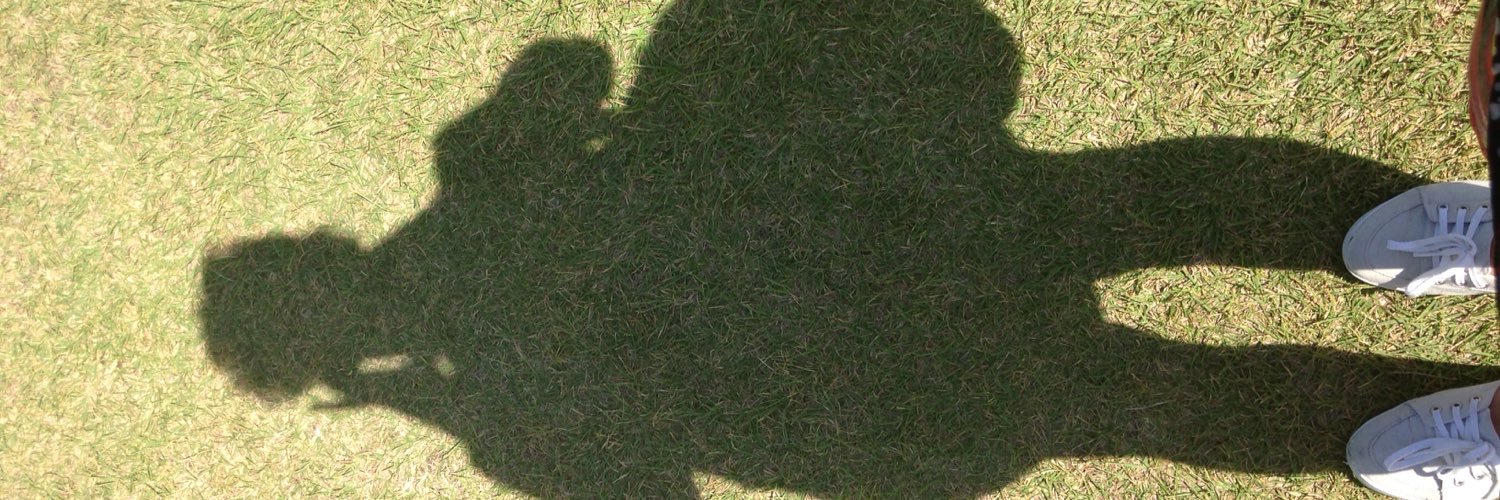 Neekitina's profile banner image