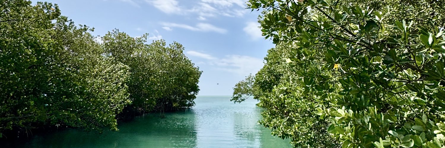 laisanismith's profile banner image