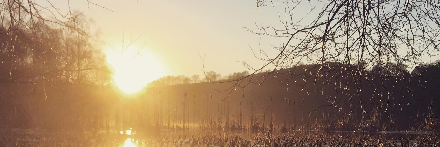Carlpotter_'s profile banner image