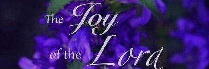 CrystalSunLove's profile banner image