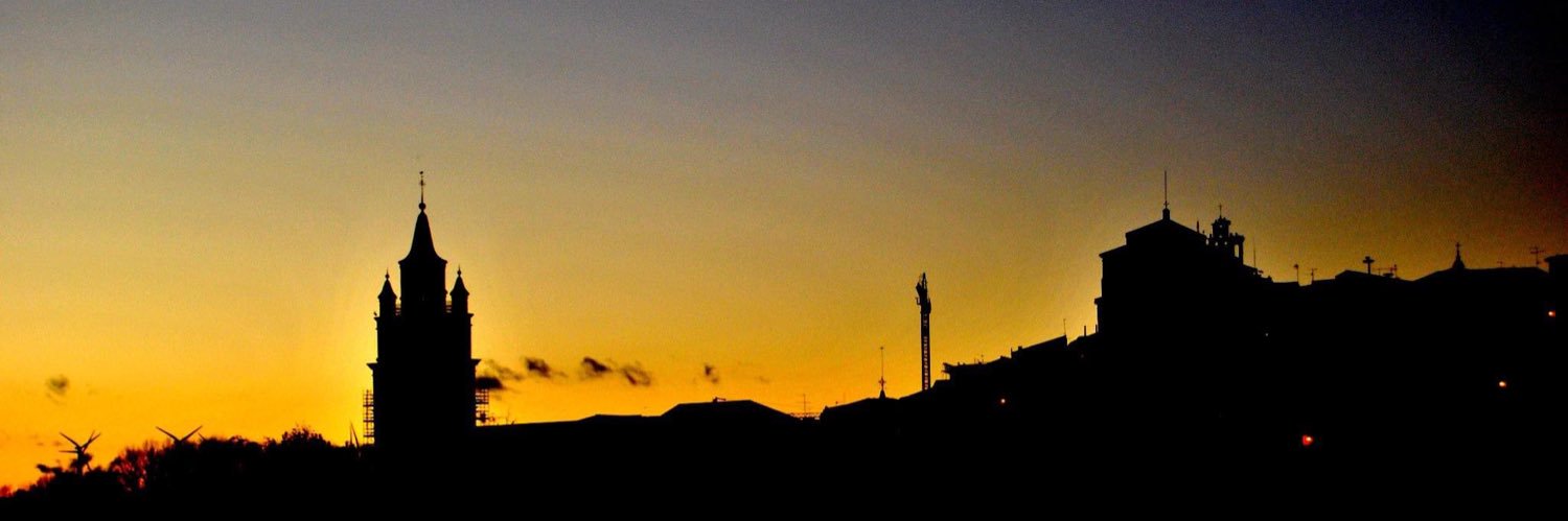 Mónica Arceiz 💚🎗 banner