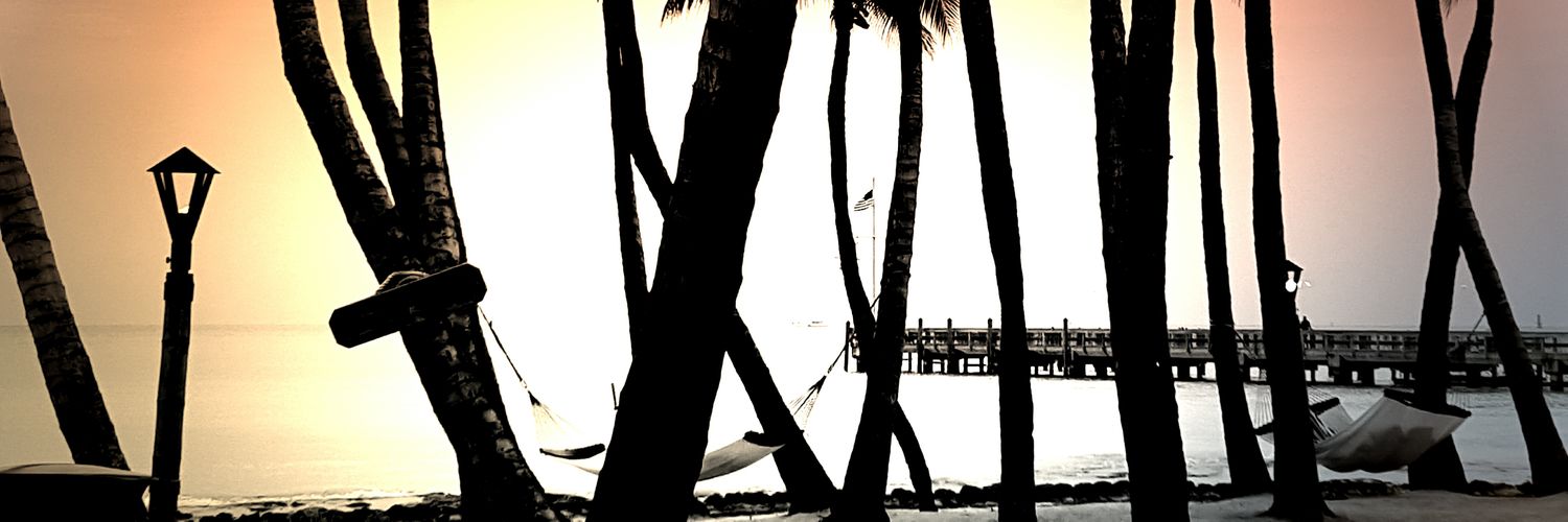 thisisgrazie's profile banner image