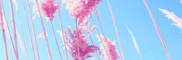 beynes87 Profile Banner