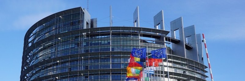 Transatlantic Inst. banner