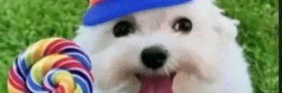 kiki banner