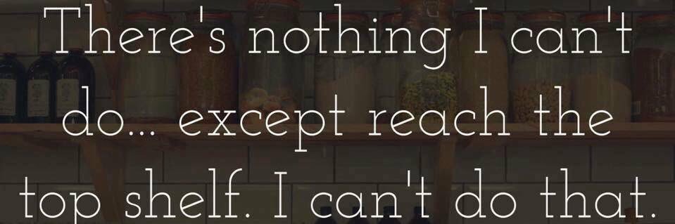 Stacy_Falk's profile banner image