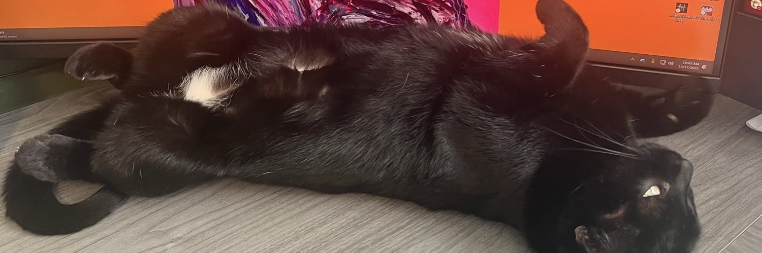 sapphslutt's profile banner image