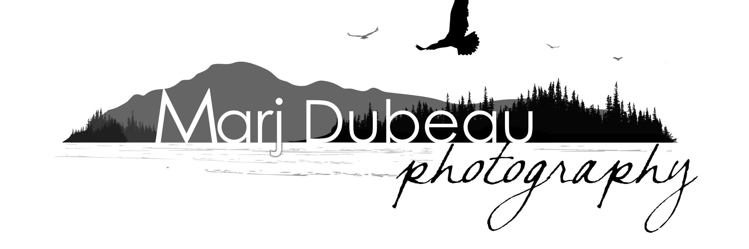 MarjDubeauPhoto's profile banner image