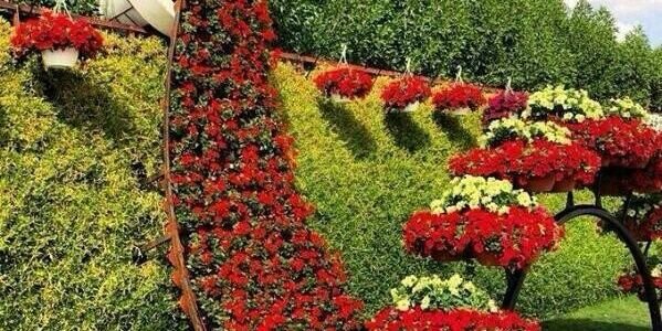 eee33367's profile banner image
