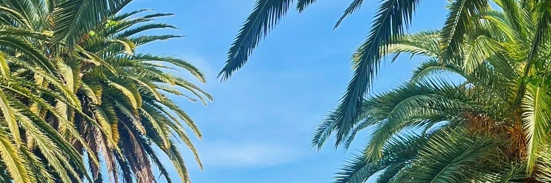 こみえ🐘37w banner