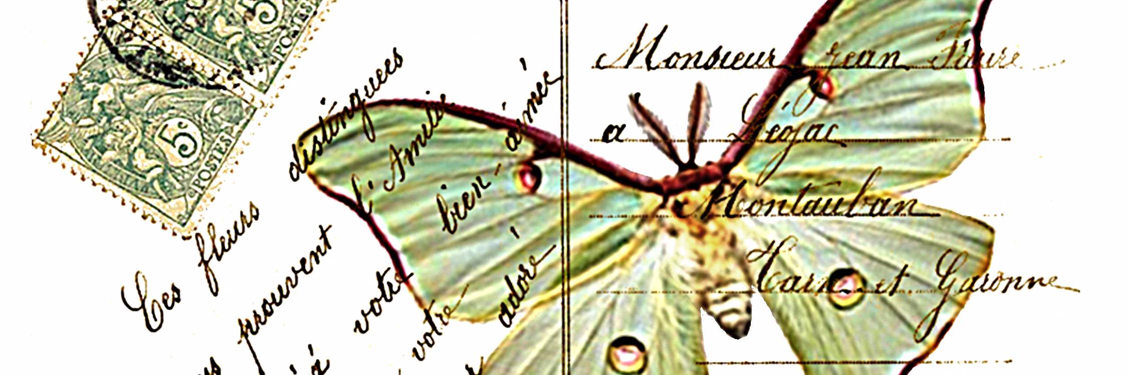 Phloridian banner