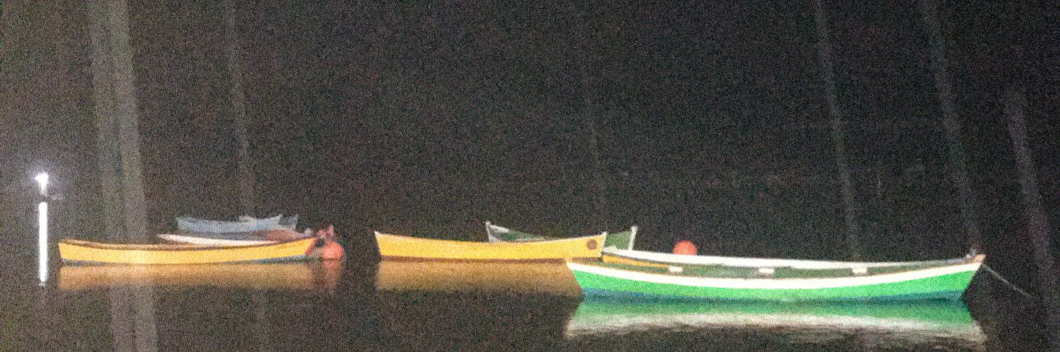 Sofi Gonzalez banner