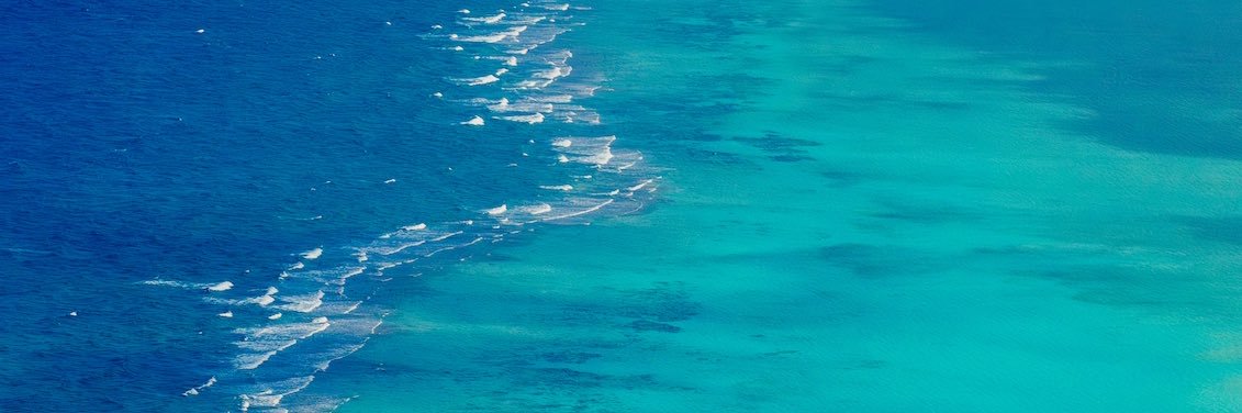 koinhoi's profile banner image