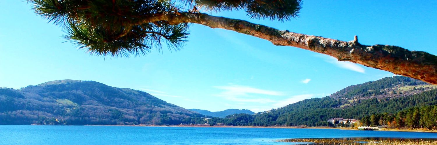 ucarremine's profile banner image