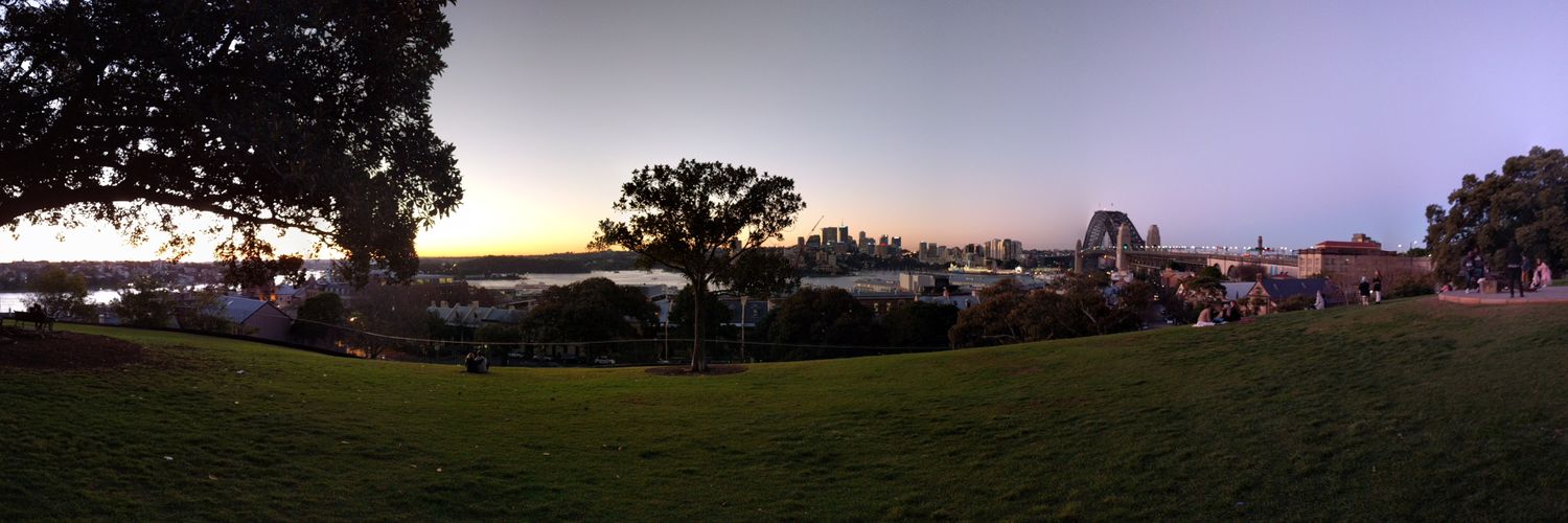 James Pettigrove banner