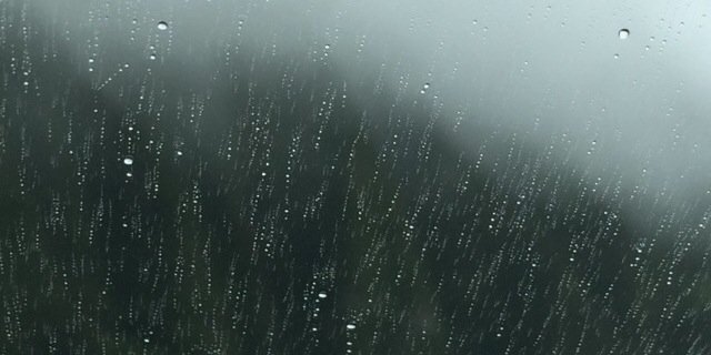 chloiferd's profile banner image