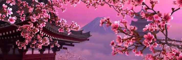 hassyahara's profile banner image